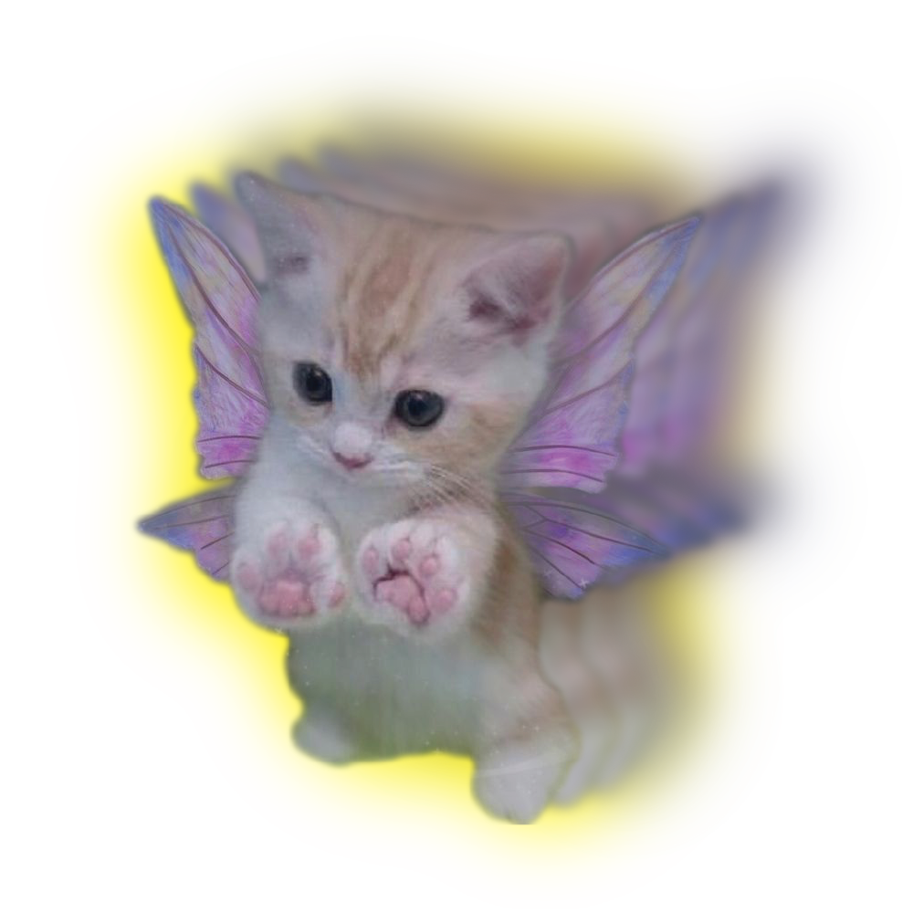Toasti Character